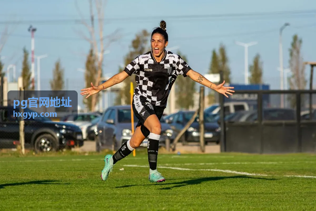 pg官网地址入口核对指南主题封面图