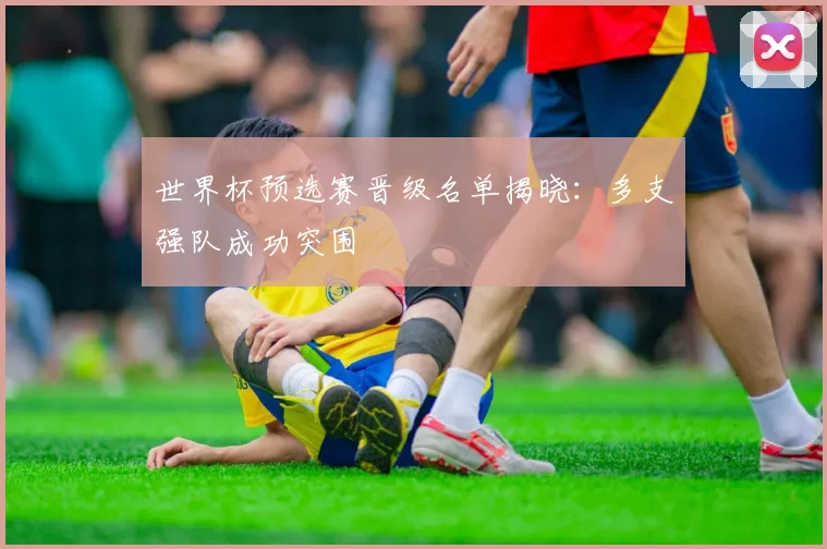 世界杯预选赛晋级名单揭晓：多支强队成功突围