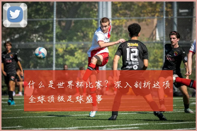 什么是世界杯比赛？深入剖析这项全球顶级足球盛事