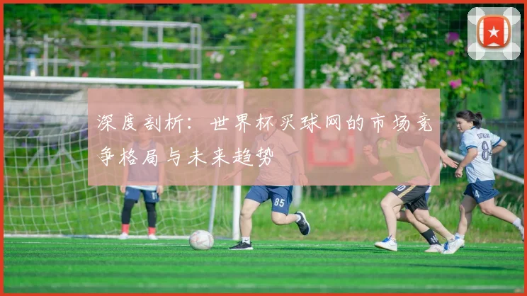 深度剖析：世界杯买球网的市场竞争格局与未来趋势