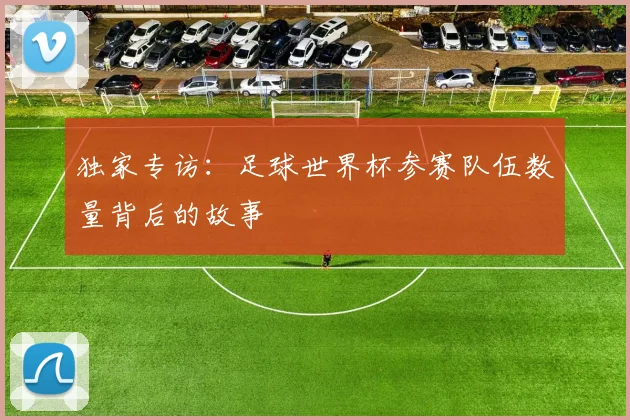 独家专访：足球世界杯参赛队伍数量背后的故事