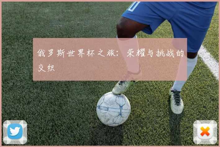 俄罗斯世界杯之旅：荣耀与挑战的交织