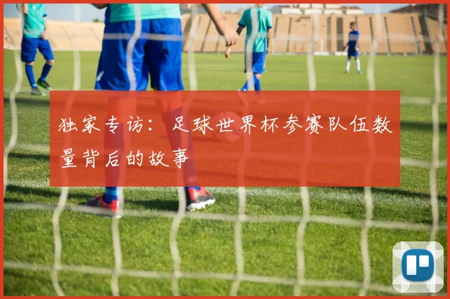 独家专访:足球世界杯参赛队伍数量背后的故事