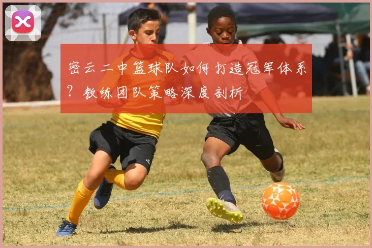 密云二中篮球队如何打造冠军体系？教练团队策略深度剖析