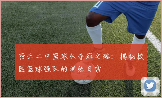 密云二中篮球队夺冠之路：揭秘校园篮球强队的训练日常