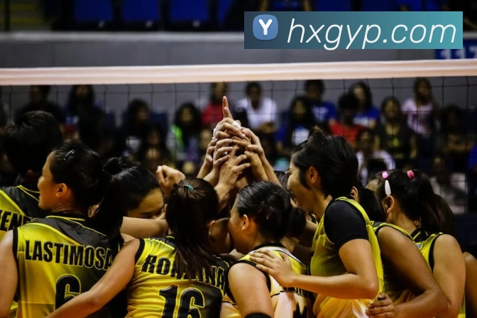 开云app官方版入口app发展历程