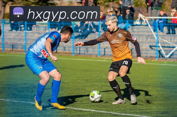 密云二中篮球队夺冠之路：揭秘校园篮球强队的训练日常